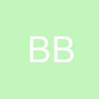 Bailie Bridgeman