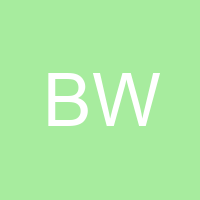 Brain W