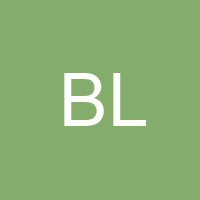Brian Lunt